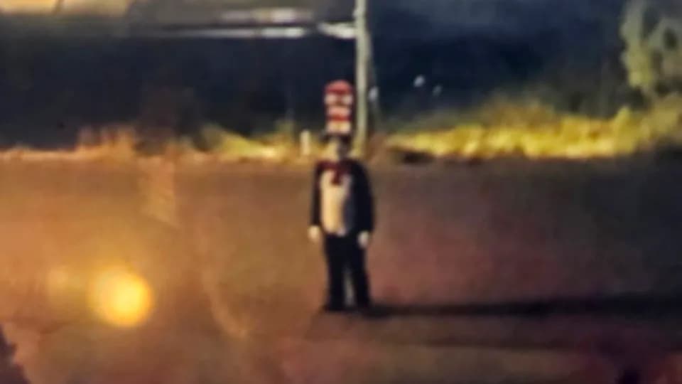 Sinister 'Cat in the Hat' Trend Prompts School Alerts After Costumed Figure Allegedly Chases Teen in Canada