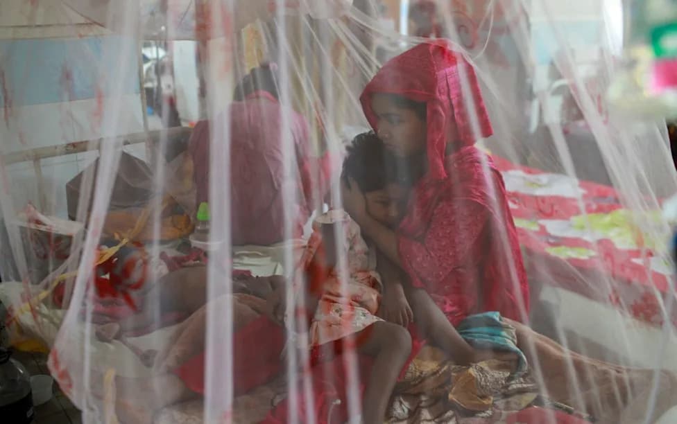 Record-Strong El Niño Could Fuel Global Dengue Surge — Health Systems Urged To Prepare