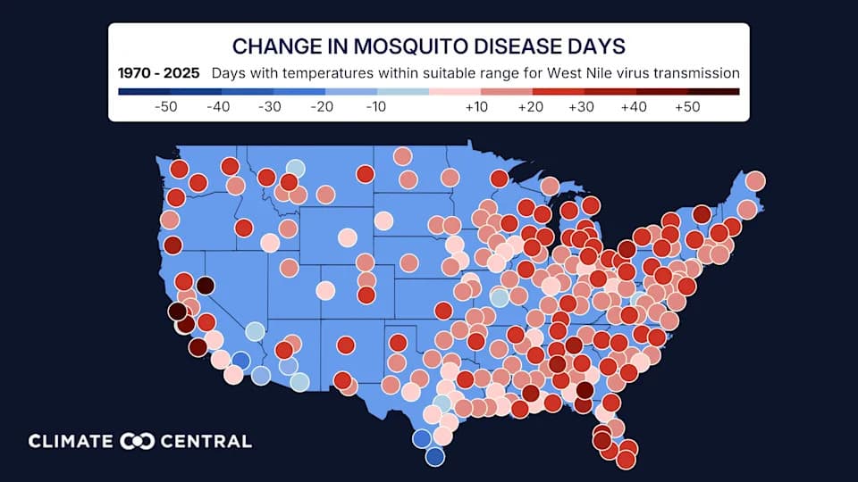 Warming Summers Give West Nile More Days to Spread Across the U.S., Study Finds
