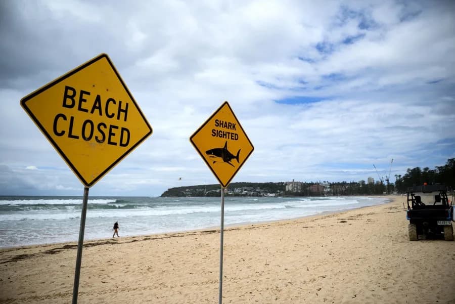 Firefighter Survives Shark Attack Off Geraldton; Damaged Surfboard Sent for Testing