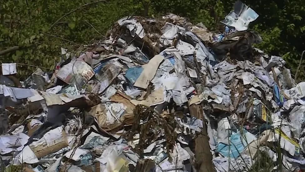 St. Louis Mail Carrier Indicted After Allegedly Dumping 30,000 Pieces of Mail