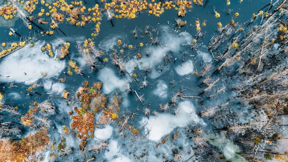 Overlooked Climate Feedbacks Could Add Up to 30% More Warming by 2100, Study Warns