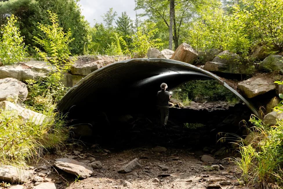 Dam Removed, Fishway Built: Will Atlantic Salmon Return To Maine’s Narraguagus River?