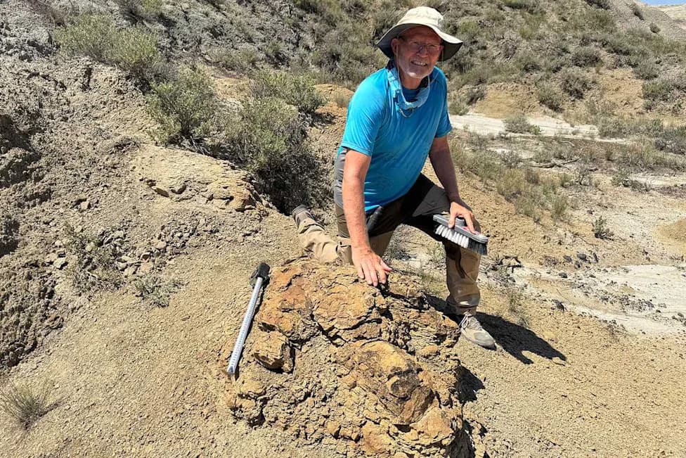 High School Teacher Unearths First Confirmed Adult T. rex Trackway — A 66.5-Million-Year-Old Trail