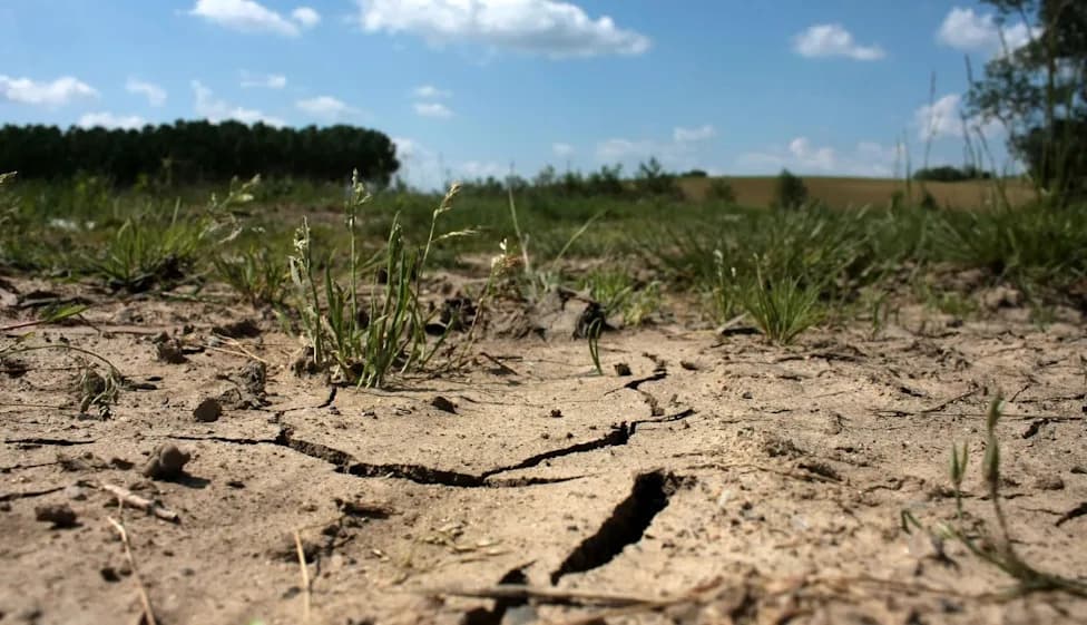 Drying Soil May Favor Antibiotic-Resistant Bacteria — A New Climate-Linked Health Risk