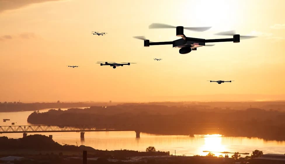 Massive Loblaws Drone Display Over Toronto Sparks Outcry During Peak Bird Migration