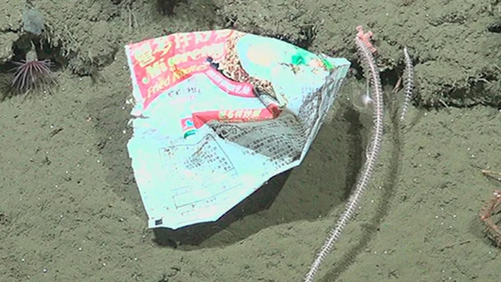 Mi Goreng Packet and Other Plastic Found Nearly 2 km Down in Mar del Plata Submarine Canyon
