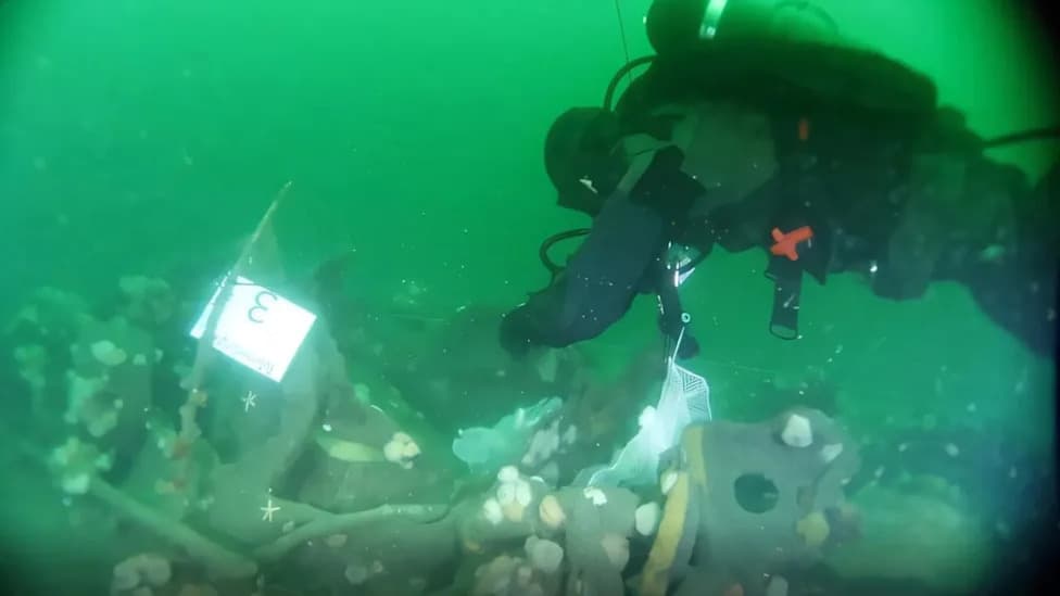 WWI U-Boat UC-30 Is Leaking TNT Into the North Sea — Century-Old Wreck Threatens Marine Life
