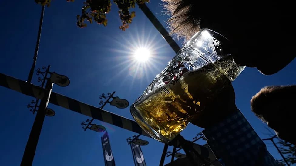 Heat, Drought and Shrinking Hops: Could Oktoberfest Beer Be at Risk?