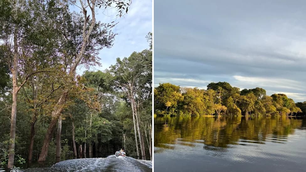 Brazil Protects 1.6 Million Acres: Four Amazon Reserves Created and Caatinga Park Expanded