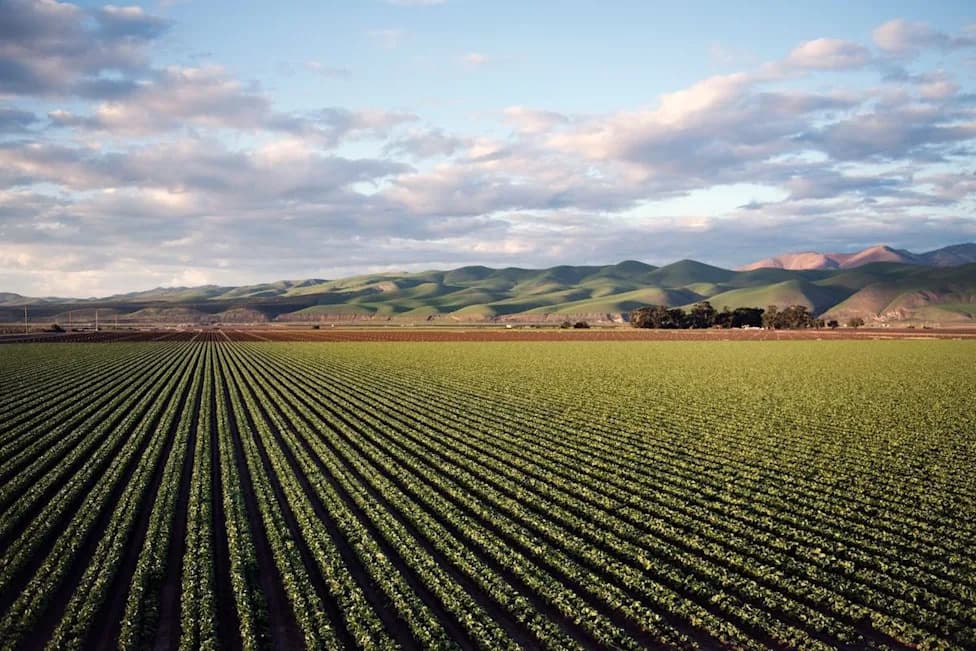 Microplastics in Soil Act as a 'Trojan Horse' — Spreading Toxins, Antibiotic Resistance and Harming Crops