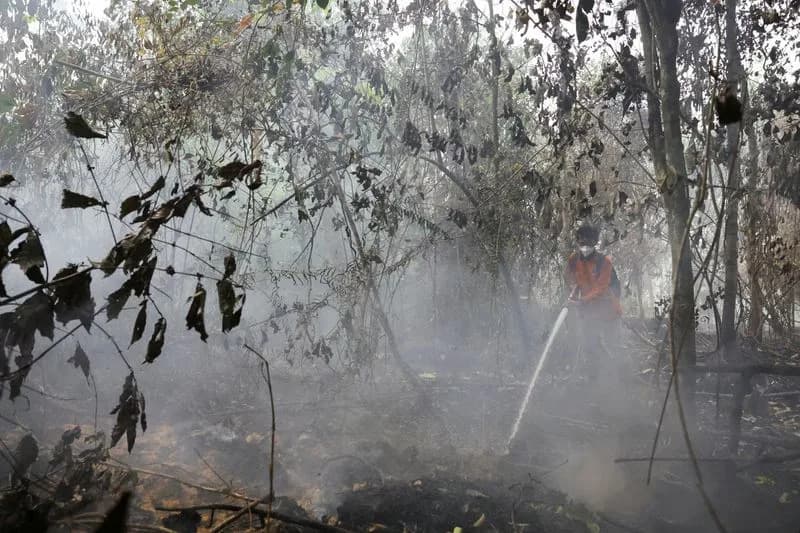 Malaysia to Send Helicopters and Crews to Help Indonesia Battle Worst Wildfires in a Decade