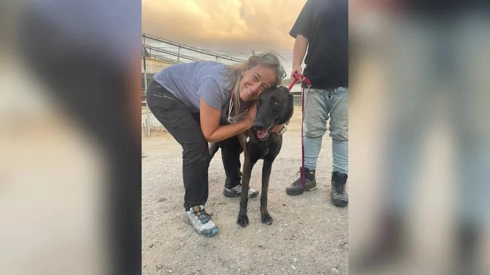 Negev Vet Founder Dr. Galia Melman Shalev To Receive WSAVA 2026 Animal Welfare Award For October 7 Pet Rescue Efforts