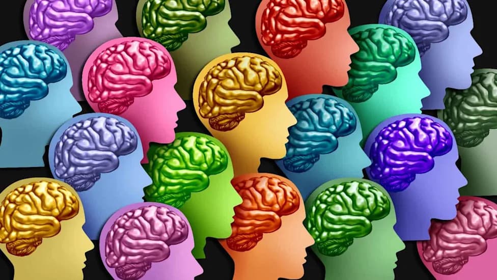 Major Midlife Shift in the Hippocampus: Study Finds Big Cellular and Genomic Changes Between Ages 50–75
