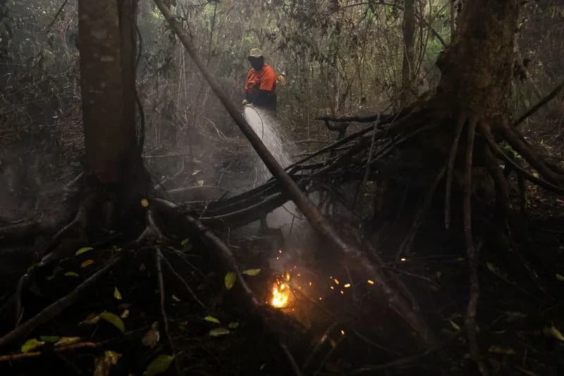 Indigenous and Civil Groups File Class Action Against President Prabowo Over West Kalimantan Wildfires