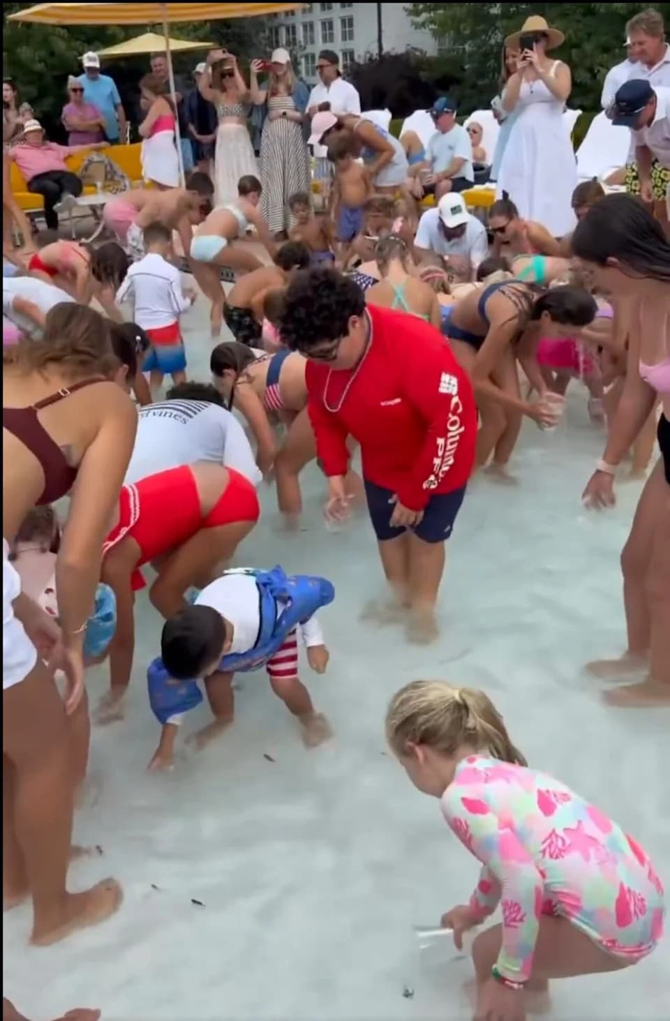 Video Appears To Show Pet-Store Fish Dumped Into Chlorinated Pool At Trump National Golf Club