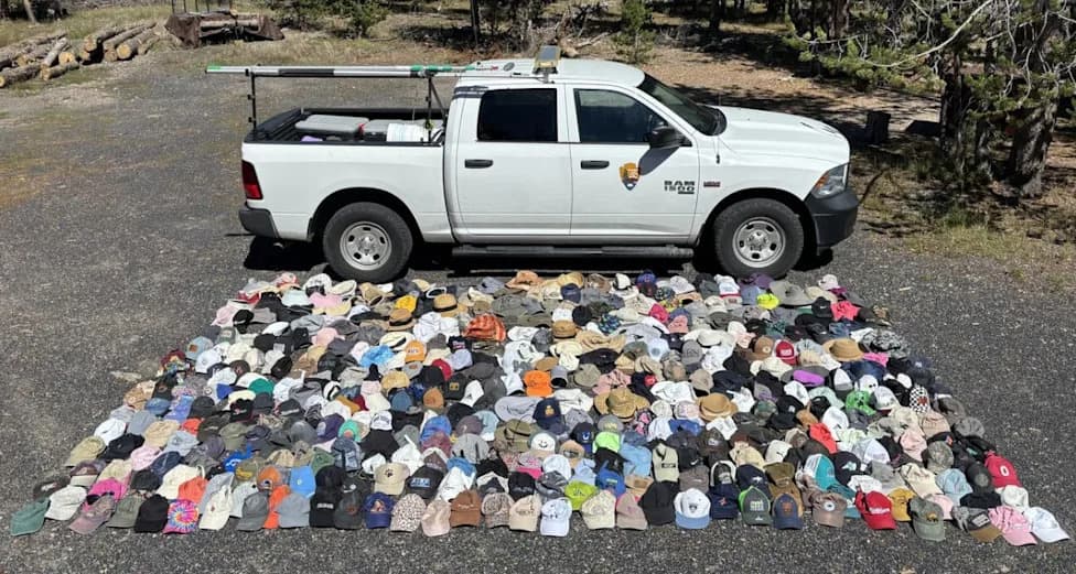 Yellowstone Cleans Geysers — Over 20,000 'Funky' Finds Recovered and Why It Matters