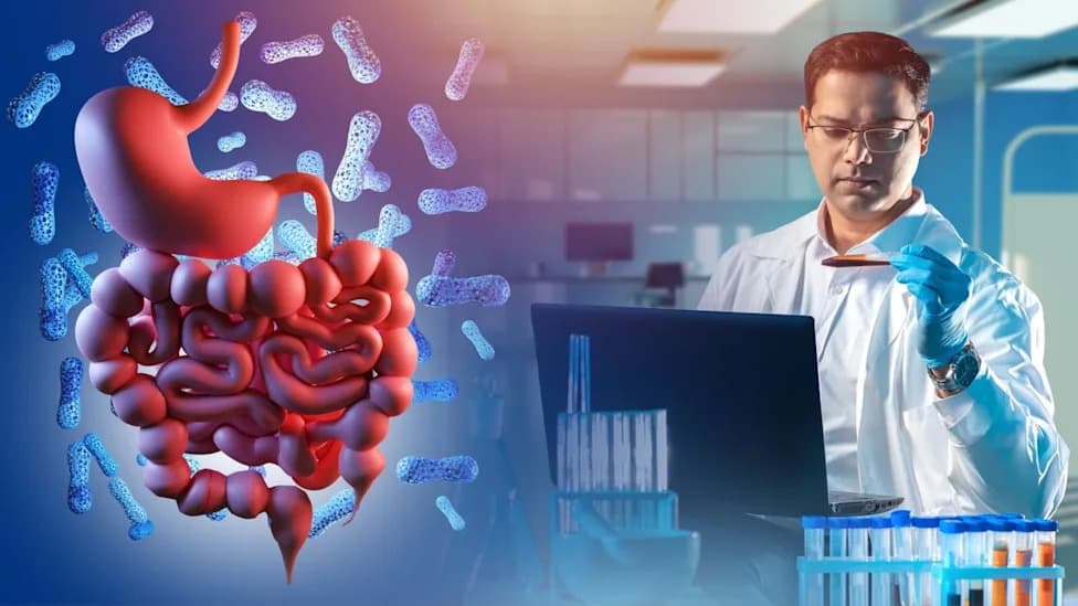 Some Gut Bacteria Can Spread Across Continents Within Decades, New Genomic Study Finds