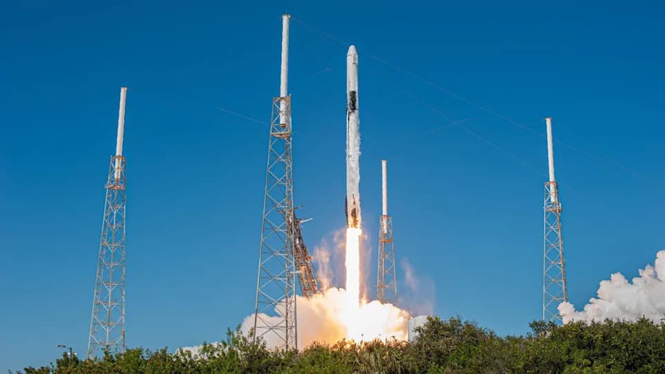 Mouse Study Suggests Spaceflight Can Impair Reproduction in Descendants — What That Might Mean for Humans