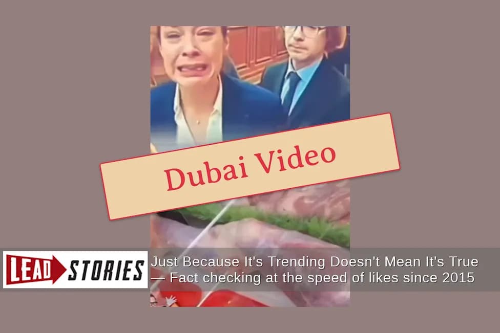 False Claim: Paris Butcher Arrested For Selling Human Meat — Video Filmed in Dubai
