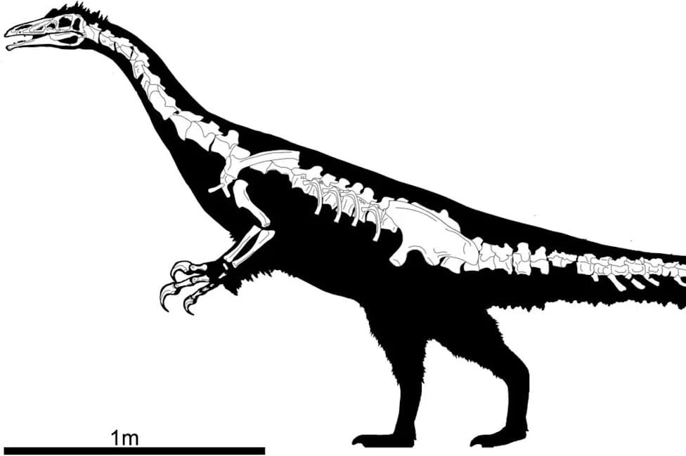 Meet Kayrasaurus changliensis — A Giant, Long‑Clawed Therizinosaur From China