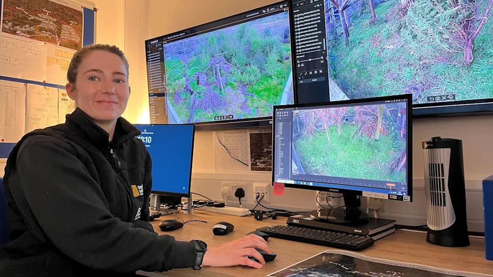 Inside Scotland’s Wildcat HQ: 72 Cameras, Minimal Contact — A High-Stakes Return to the Cairngorms