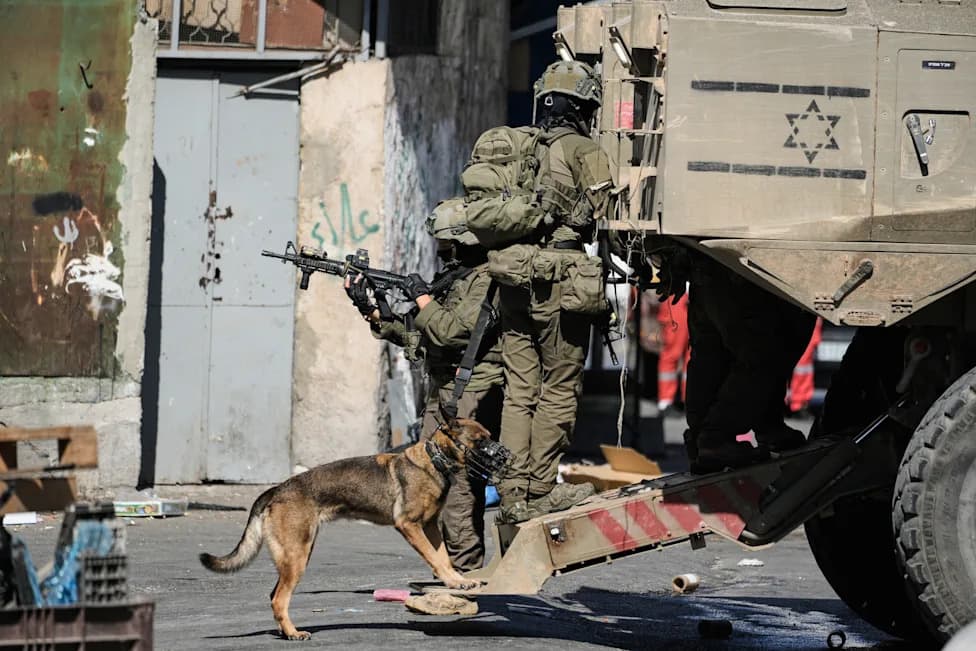 Palestine Weekly: From Al‑Aqsa Incursions to Gaza’s Collapses — Tensions Rise Ahead of Autumn