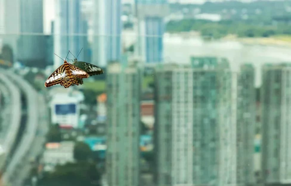 City Pollinators Are Shifting Their Seasons — Many Start About 3 Weeks Later