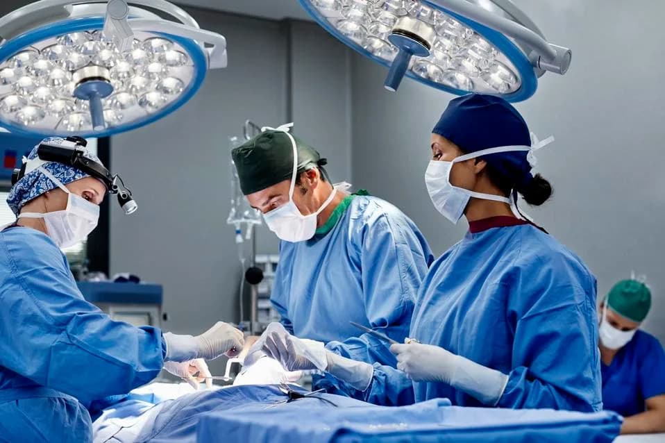 National APP Week: How Advanced Practice Providers Multiply Surgeon Capacity Amid a Physician Shortage