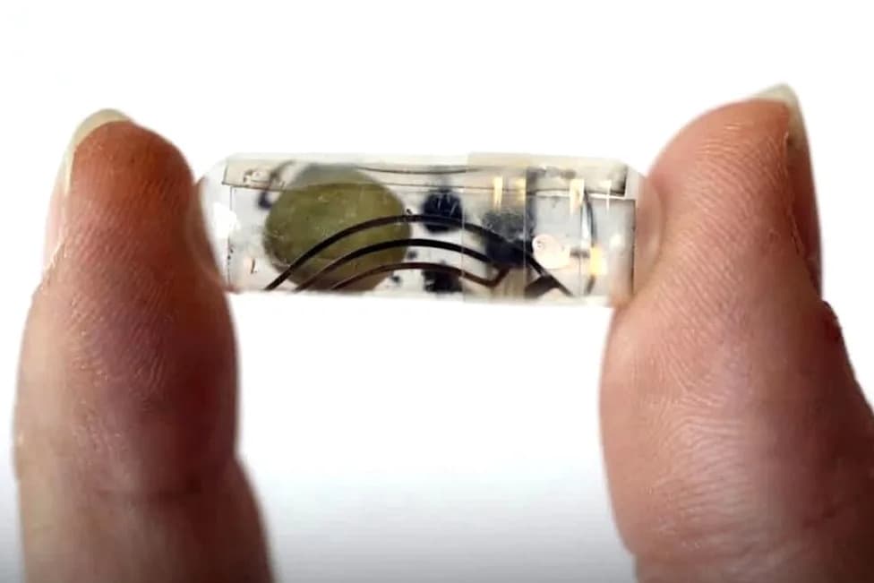 MIT Engineers Create Bioresorbable “Edible” Battery to Power Temporary Medical Devices