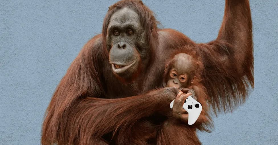 Zoos Use iPads, Xbox-Style Games and Robotic Feeders to Rekindle Animals’ Wild Instincts