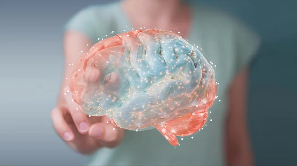 Teen’s Involuntary Memories Exceed 99.9% of Population, Case Study Finds