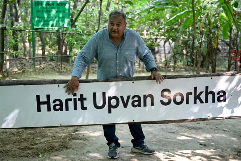 Peepal Baba — India's 'Tree Father' Planting a Greener Future