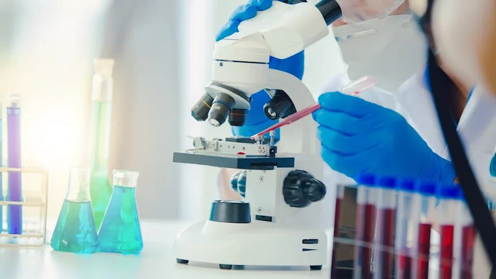 Balomenib Shows Durable Glycaemic Improvements After Short 28‑Day Course in Phase Ib Trial