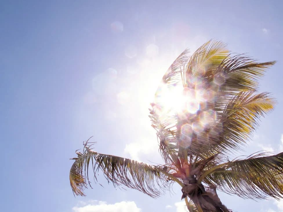By 2100, These U.S. Cities Could Average 100°F Summers — What Climate Projections Show