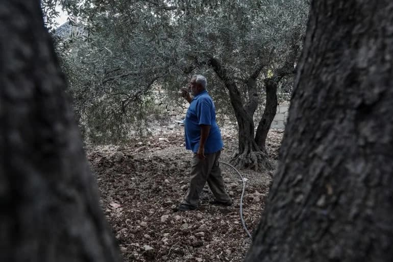 How Israel’s 'Blue Line' Team Reclassifies West Bank Land, Leaving Families Bereft