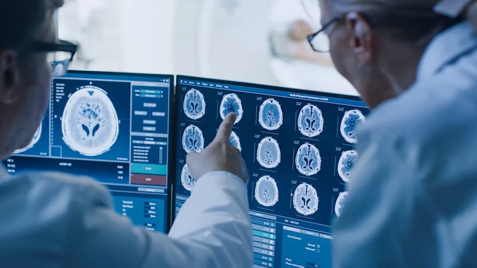 Study Finds Human Brain May Have Evolved by Pressing Two Ancient Neural Systems Together