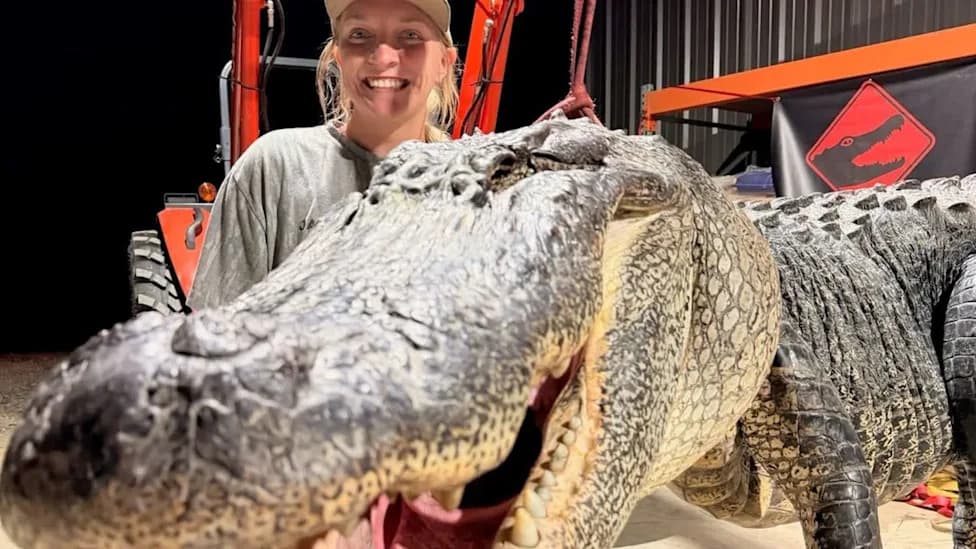 Mississippi Hunter Draws First-Time Tag, Lands a 770‑Pound, 13'5" Alligator