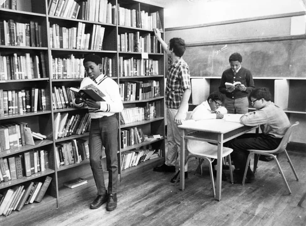 How Digital Culture and Democratic Erosion Are Undermining Literacy