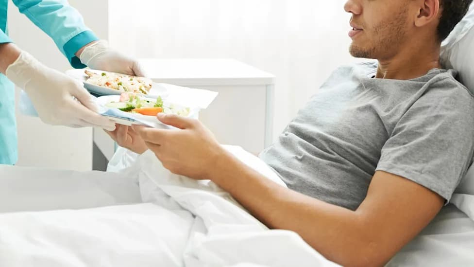 Dutch Team Designs Seven-Day High-Protein Plant-Based Menu for Hospital Patients