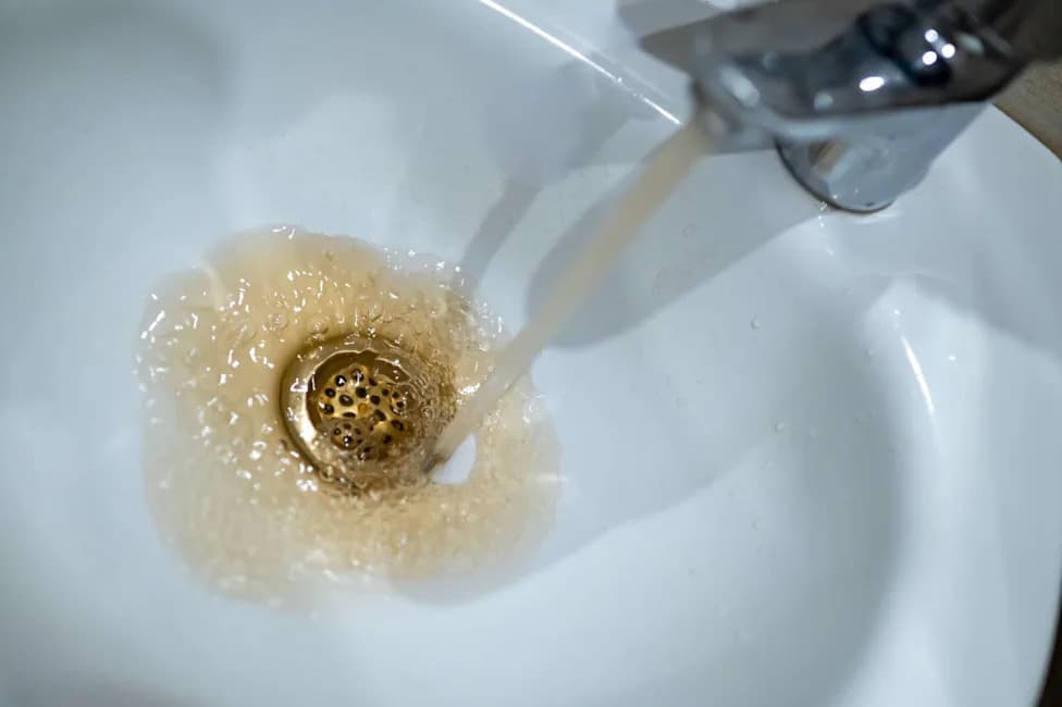 Independent Tests Find High Legionella Levels After Years Of Dark, Foul Tap Water In Beaverville, Illinois
