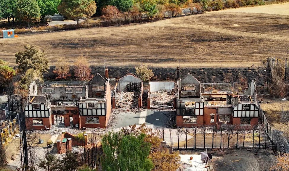 “Utter Devastation”: Midlands Wildfires on 13 August Destroy 19 Homes in Stourbridge; Two Chihuahua Puppies Die