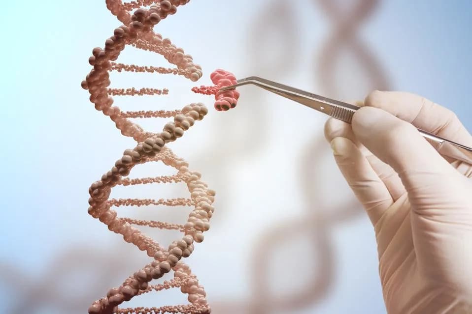 Where CRISPR Stands Now: Breakthroughs, Promise and Practical Barriers