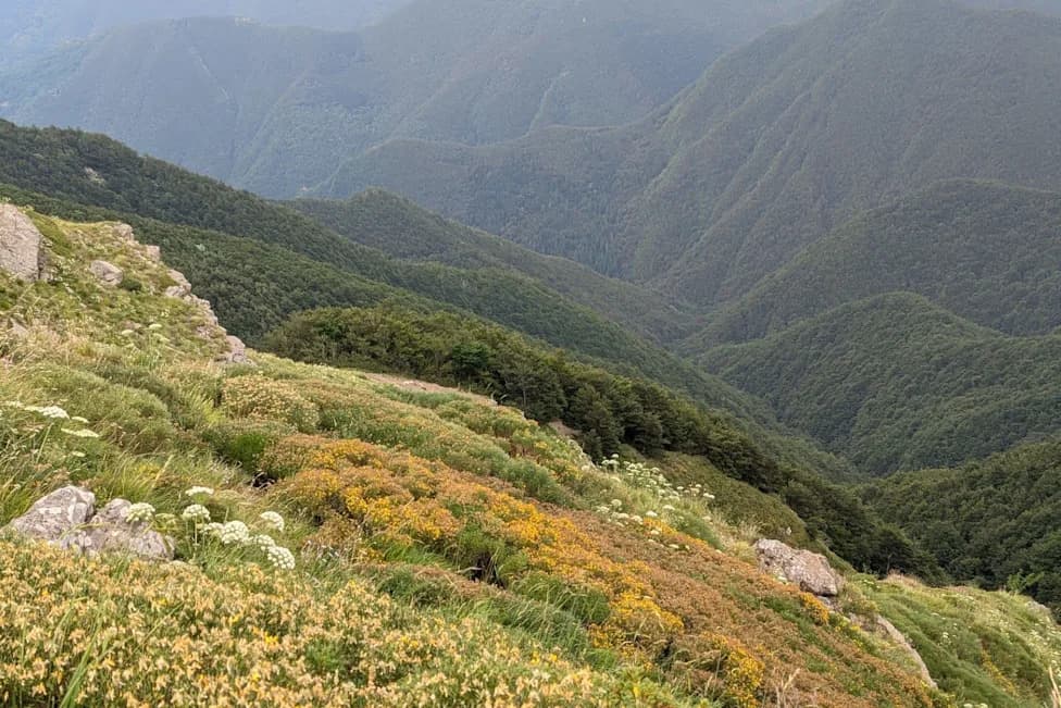 Italy's Crust Is 'Unzipping': Deep Delamination Fuels Apennine Earthquakes