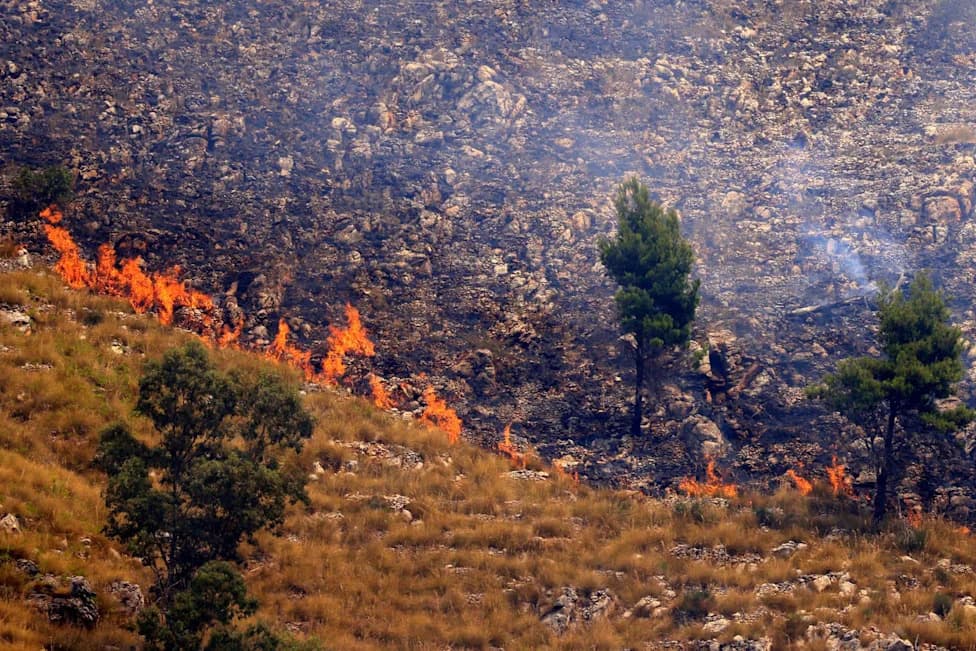 Sicily's Centuries-Old Farms at Risk: Drought, Heat and Wildfires Forcing Families Off Ancestral Land