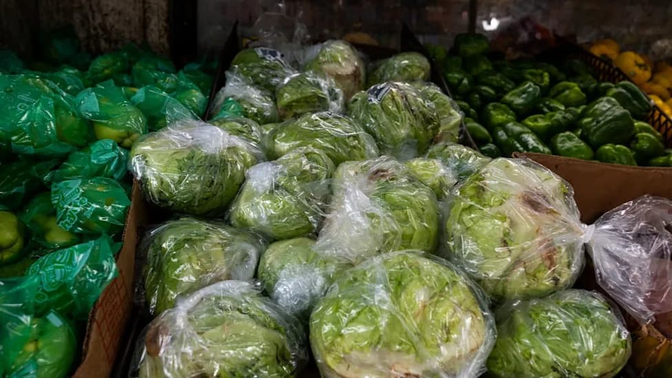 Cyclospora Outbreak and Food-Safety Rollbacks Fuel Midterm Debate