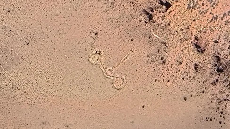 Google Earth Reveals Giant Stone Circles High in Argentina's Andes — Unprecedented Geoglyph Under Investigation