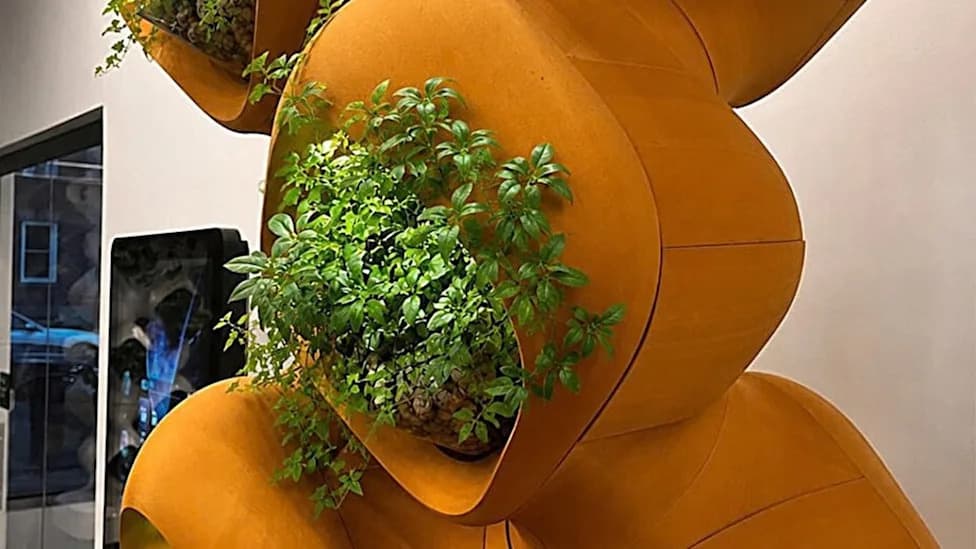 From 420 to 936 ppm: Why Building-Integrated Plant Biofilters Could Be the Next Step in Indoor Air Quality