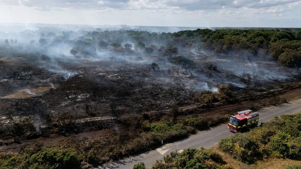Lives 'Will Be Lost' Unless UK Steps Up Wildfire Response, CCC Chair Warns