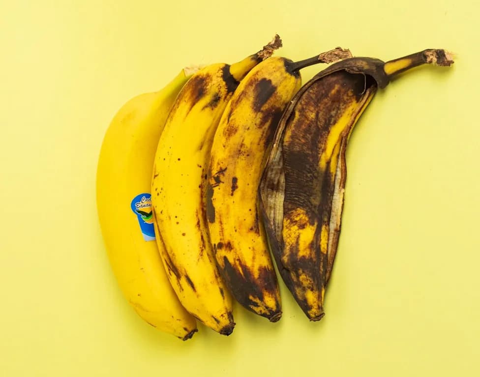 UK Nears Approval of Non‑Browning Bananas as Tropic Targets 2027 Supermarket Launch